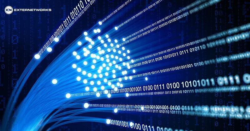 Managed Service Provider (MSP)