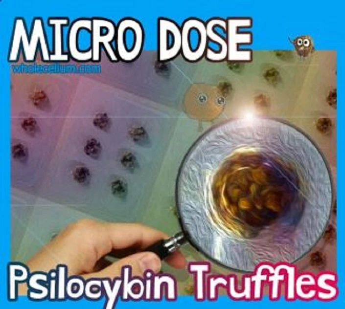 Microdosing with Psilocybin Mushroom | Wholecelium