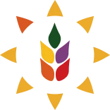 Schools Near Sarjapur Road