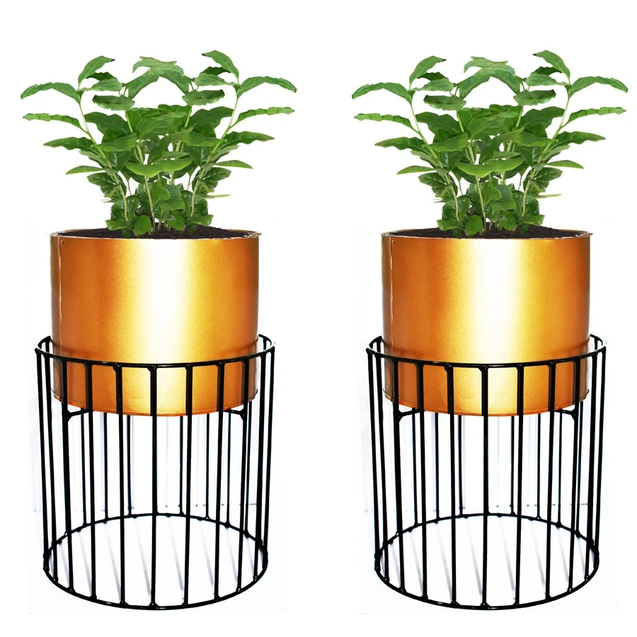 Budget-friendly planters for Diwali 2022