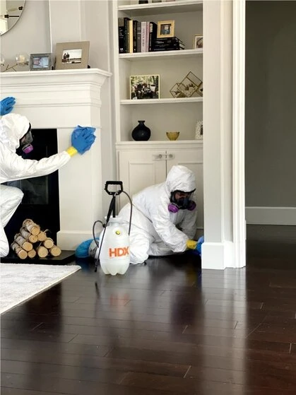 How Flood Damage Can Affect Property Values in Tampa