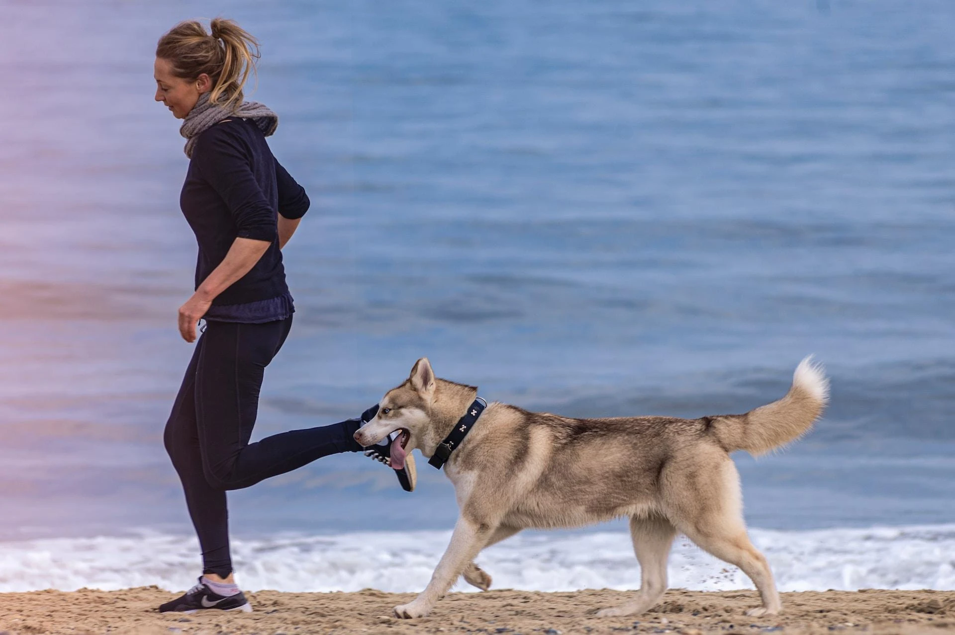 Unmasking the Myth: Demystifying the Training Challenge of Huskies