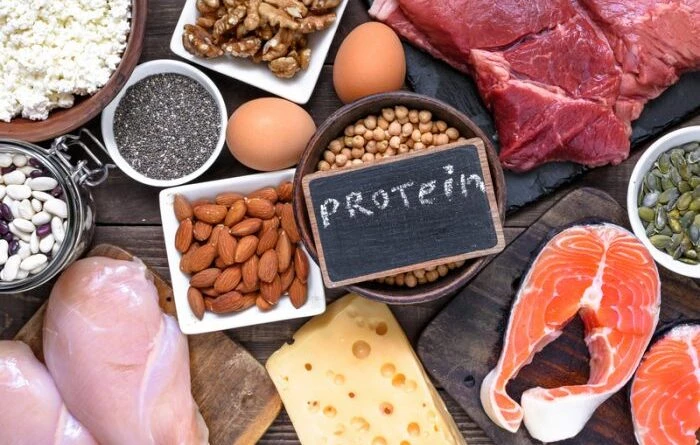 All you must to know about high protein foods