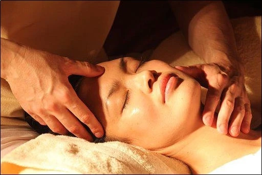 A Brief History of Traditional Chinese Medical Theory