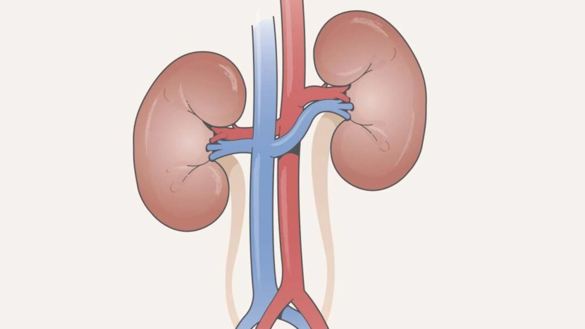 How to Diagnose and Treat Chronic Kidney Disease and save kidneys in kolkata