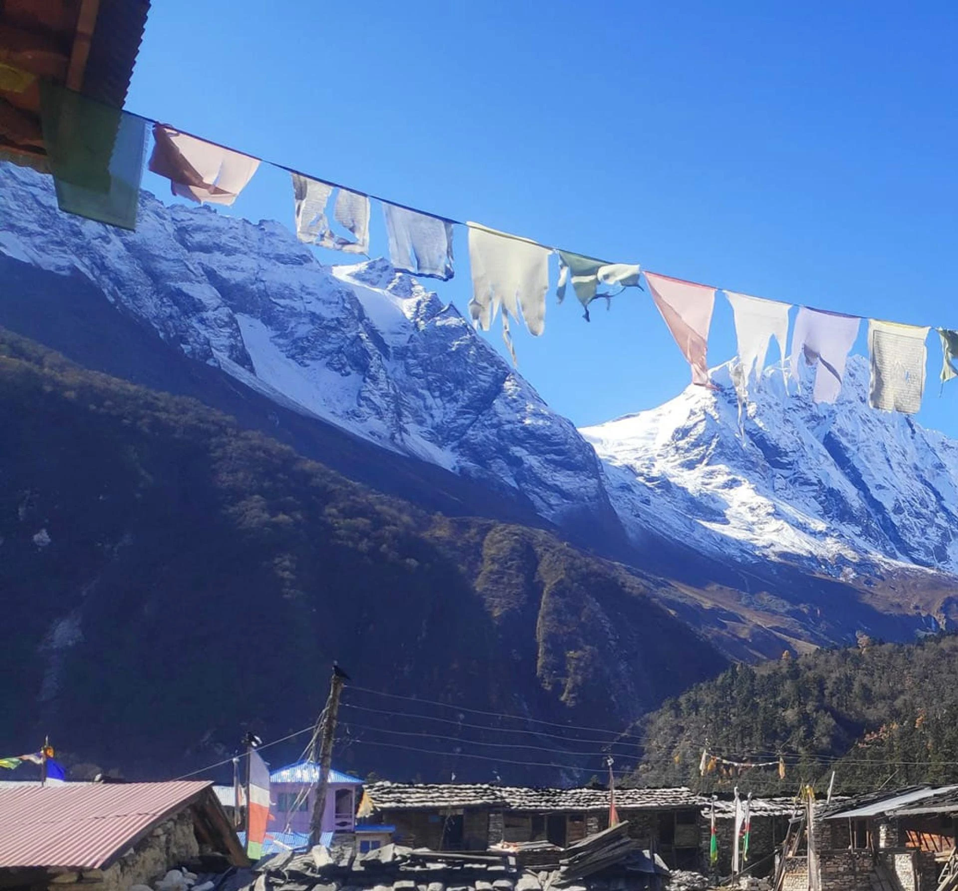 Manaslu Circuit Trek: Discover Nepal's Hidden Gem and Adventure Wonderland