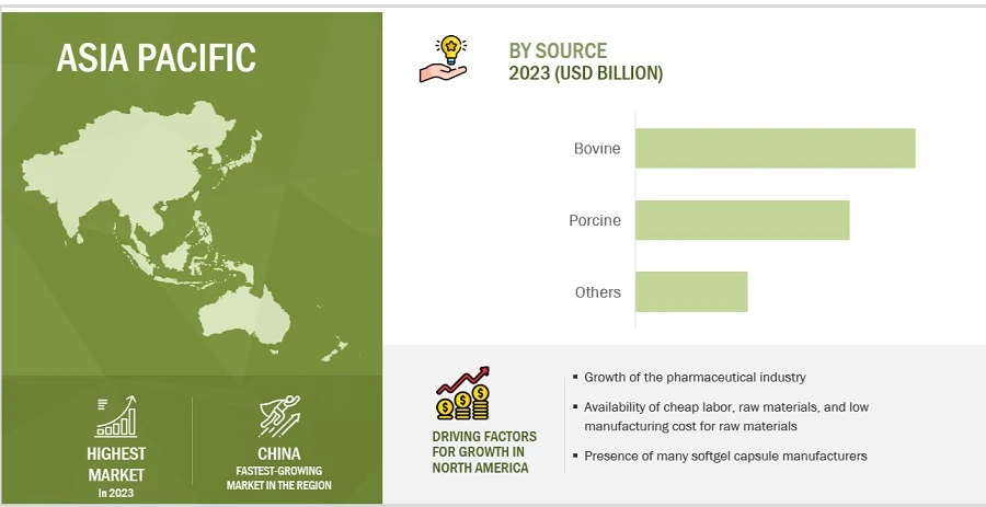 Impact of Technology Integration in Softgel Capsule Production: Market Size and Forecast