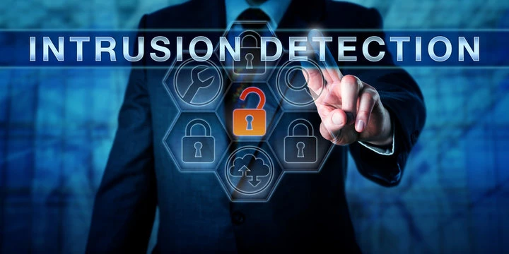 Defending the Digital Frontier: Global Intrusion Detection Systems Leading the Charge
