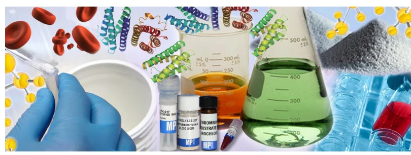 Enzymes at Work: Transforming Industries on a Global Scale
