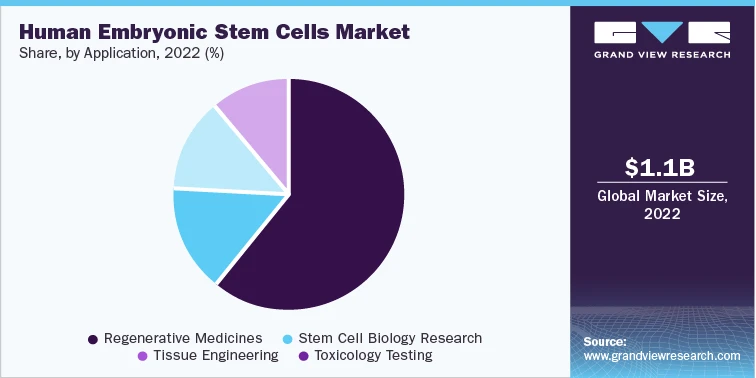 Stem Cells Industry: The Key To Curing Diseases And Unlocking The Power Of Healing