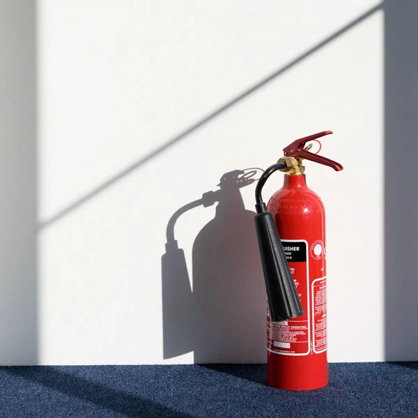 Preserving Safety Understanding and Managing Residential Fire Sprinkler System Repair
