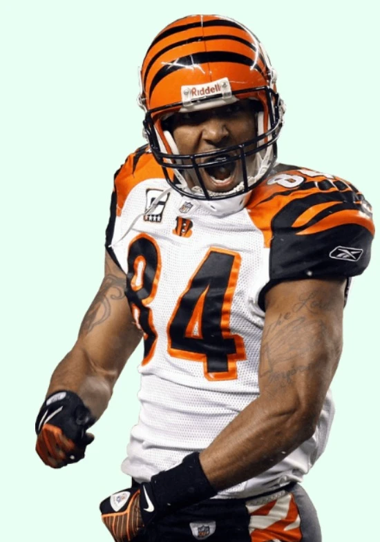 How To Avoid Getting Scammed In Sports Betting