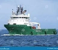 Exploring the Oceanic Wonderland: Understanding Marine Life and Supplies