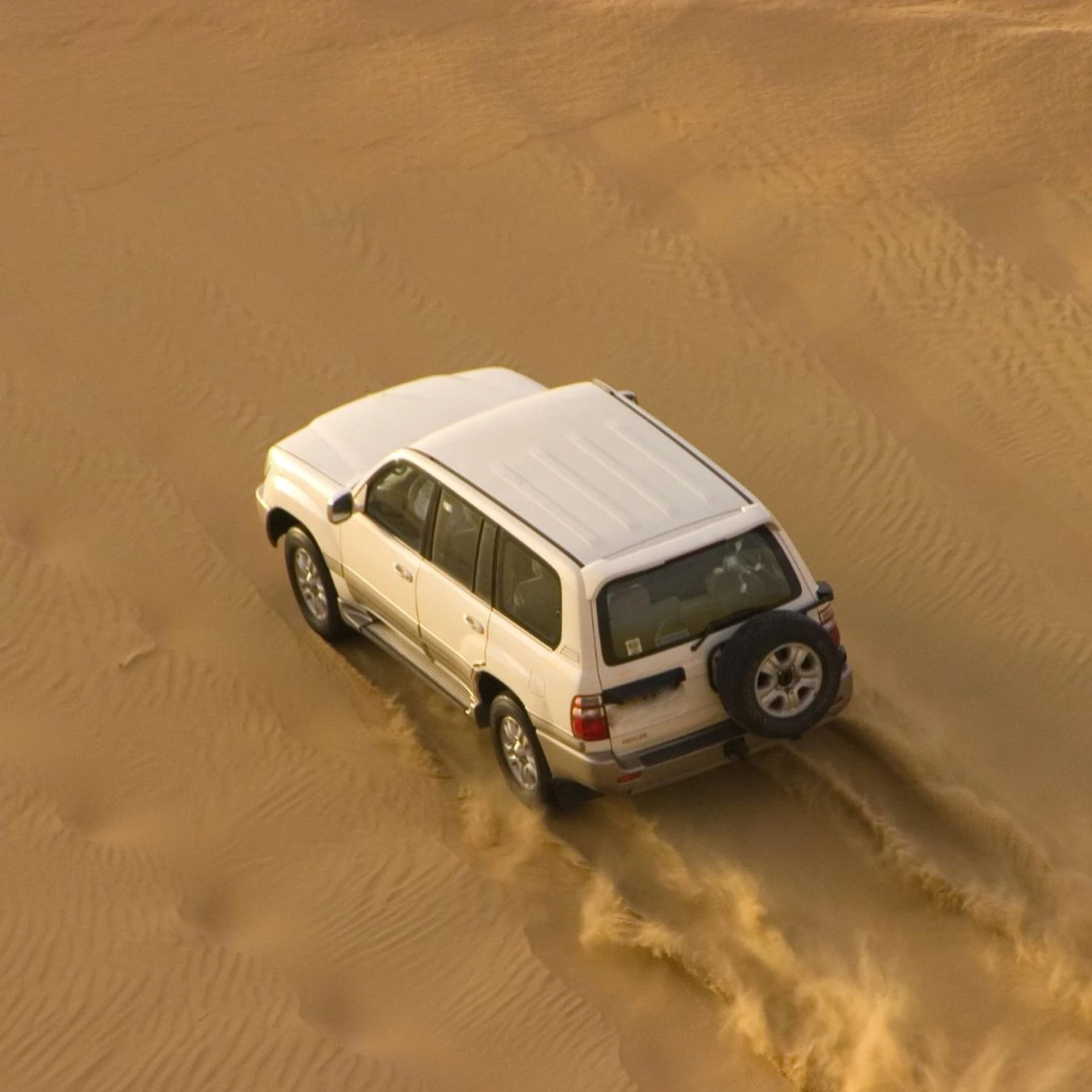 A Few Astonishing Things To Try On A Desert Safari | Dubai Desert Ride