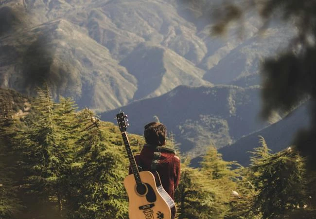 Exploring the Heavenly Heights: Unveiling the Best Hill Station Tourist Places in Kerala with Kerala Tour Packages from Delhi