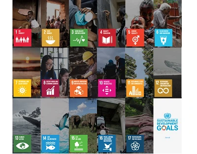 The Sustainable Development Goals: A Framework for Global Development