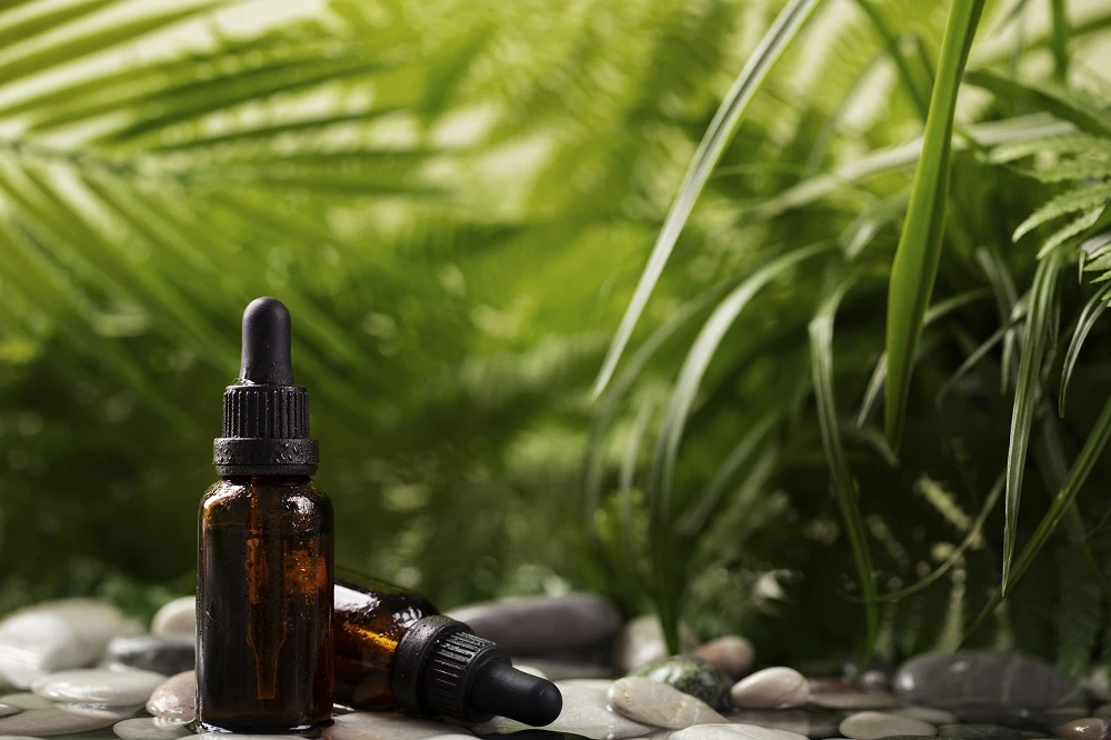Is CBD Oil a Beneficial Addition to Your Daily Routine?
