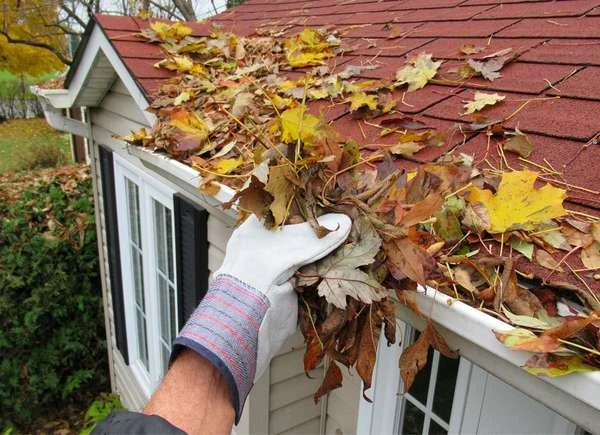 The Ultimate Guide to Gutter Cleaning Services: Everything You Need to Know