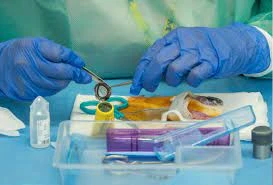 Global Tissue Banking Market Is Estimated To Witness High Growth Owing To Increased Demand For Advanced Biological Storage Solutions