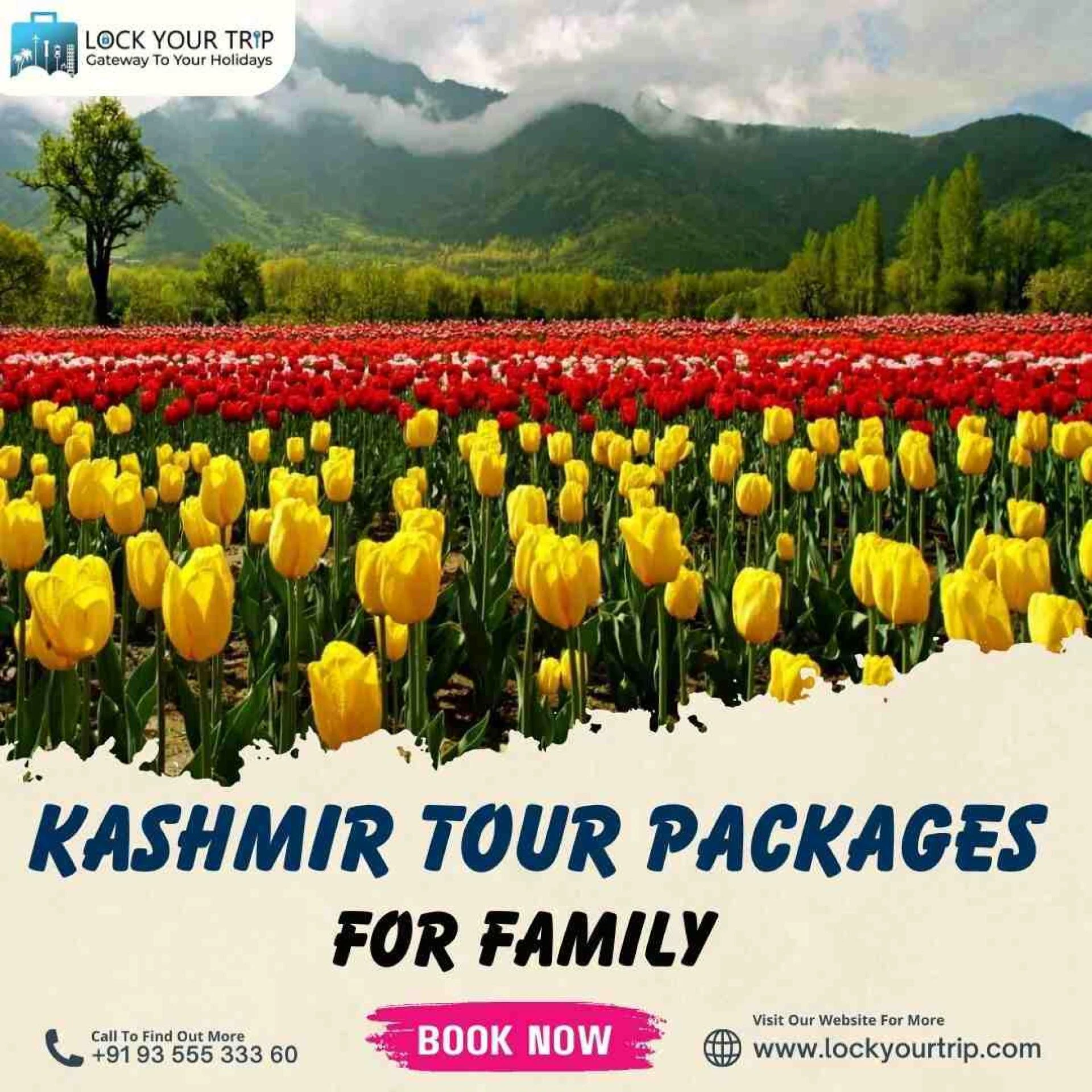 Exploring Paradise: Kashmir Tour Packages for Family: A Kaleidoscope of Natural Beauty
