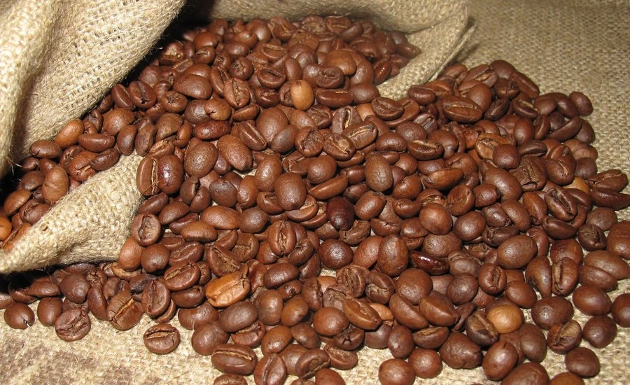 Organic Coffee Manufacturing Plant 2024: Project Report, Manufacturing Process, Materials Cost and Profit Margin