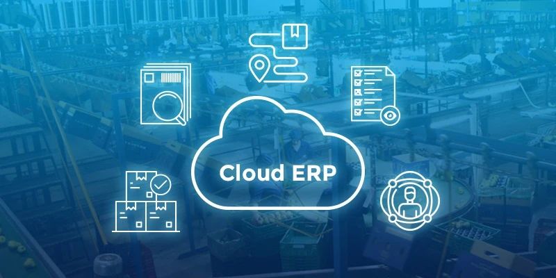 Why Is Cloud ERP Ideal For Developing Businesses?