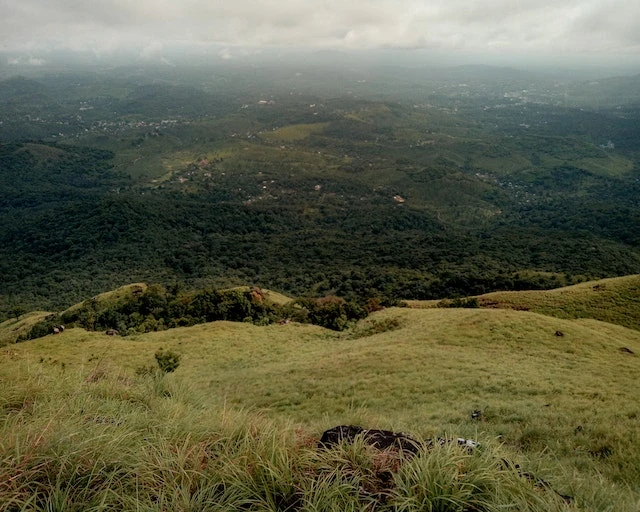 Thekkady: A Wildlife Paradise Awaits - Kerala Tour Packages from Pune