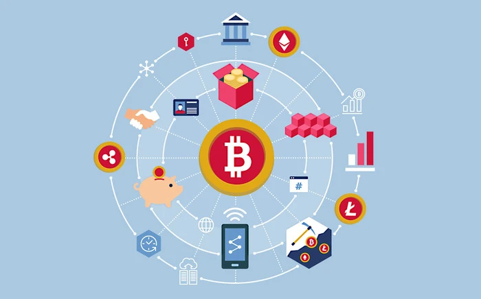 Types of Crypto Assets: From Bitcoin to NFTs and Beyond