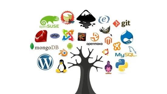 Open Source Software: The Key to Cost-Effective, Innovative Solutions