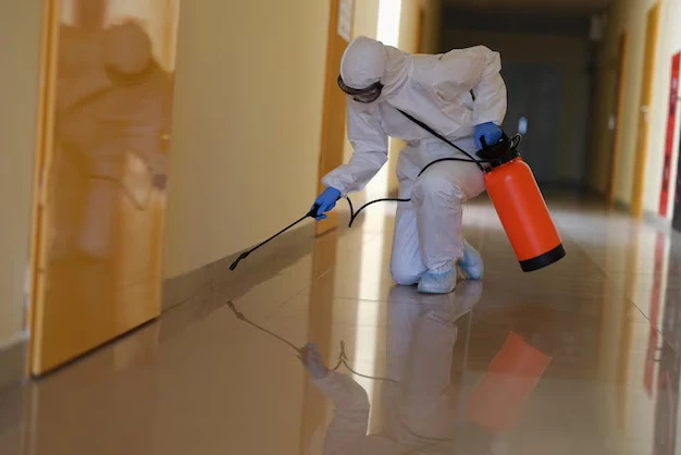 Battling Bed Bugs: Why we’re Your Top Choice for Control