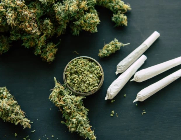 CBD vs. THC: Understanding the Differences and Benefits