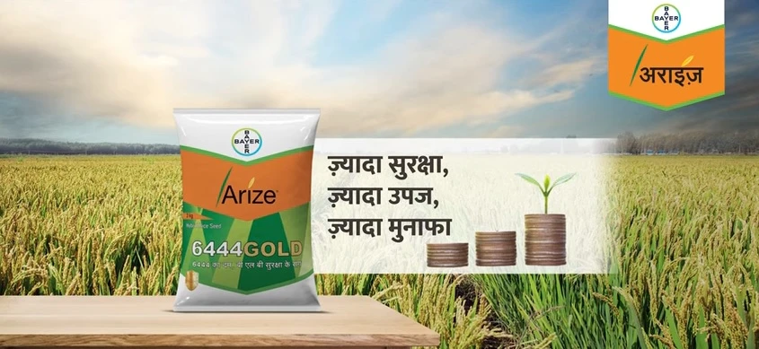 From Pollination to Prosperity: Factors in Hybrid Seed Production