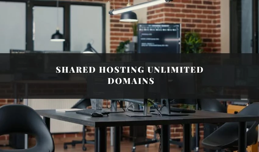 Unlocking the Power of Shared Hosting Unlimited Domains