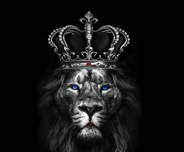 King Satta Results - sattakinngz