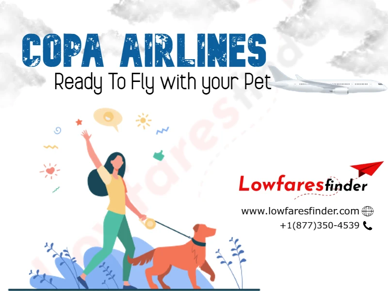 Can I Travel with my pet on Copa Airlines?