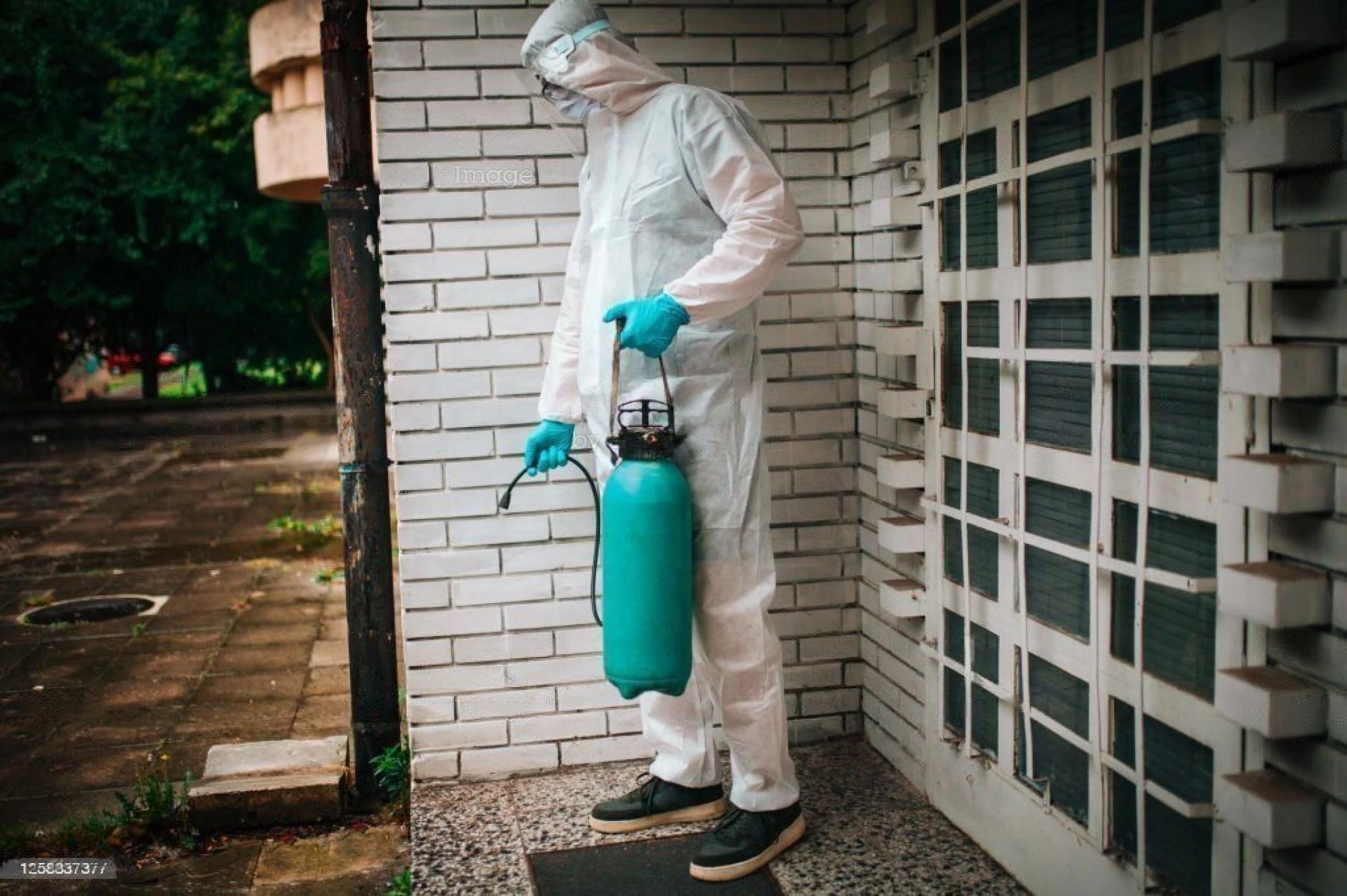 How to Keep Your Home Safe from Pest Removal: A Comprehensive Guide