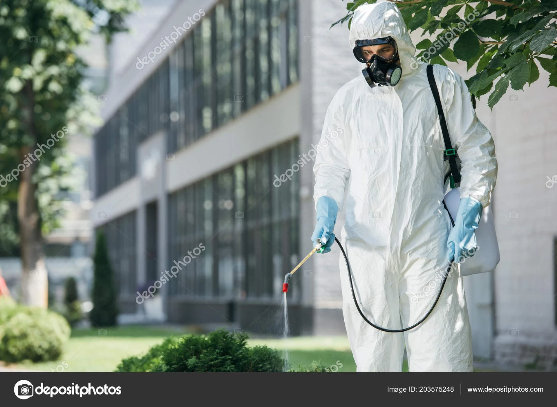 How to get rid of pests in your home fast: Tips for effective pest control