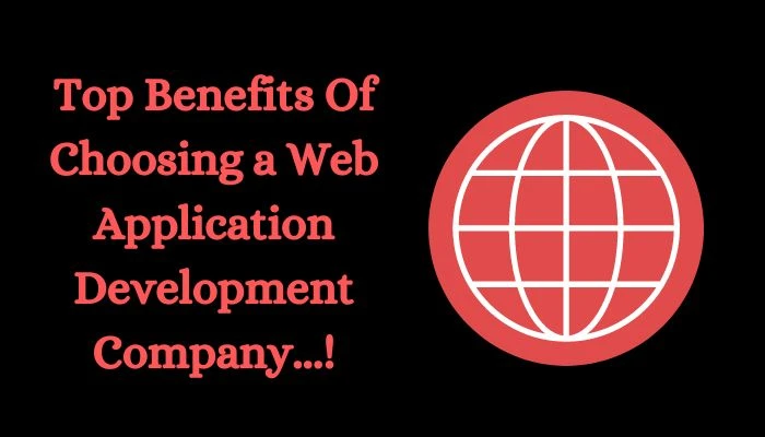 Top Benefits Of Choosing a Web Application Development Company...!