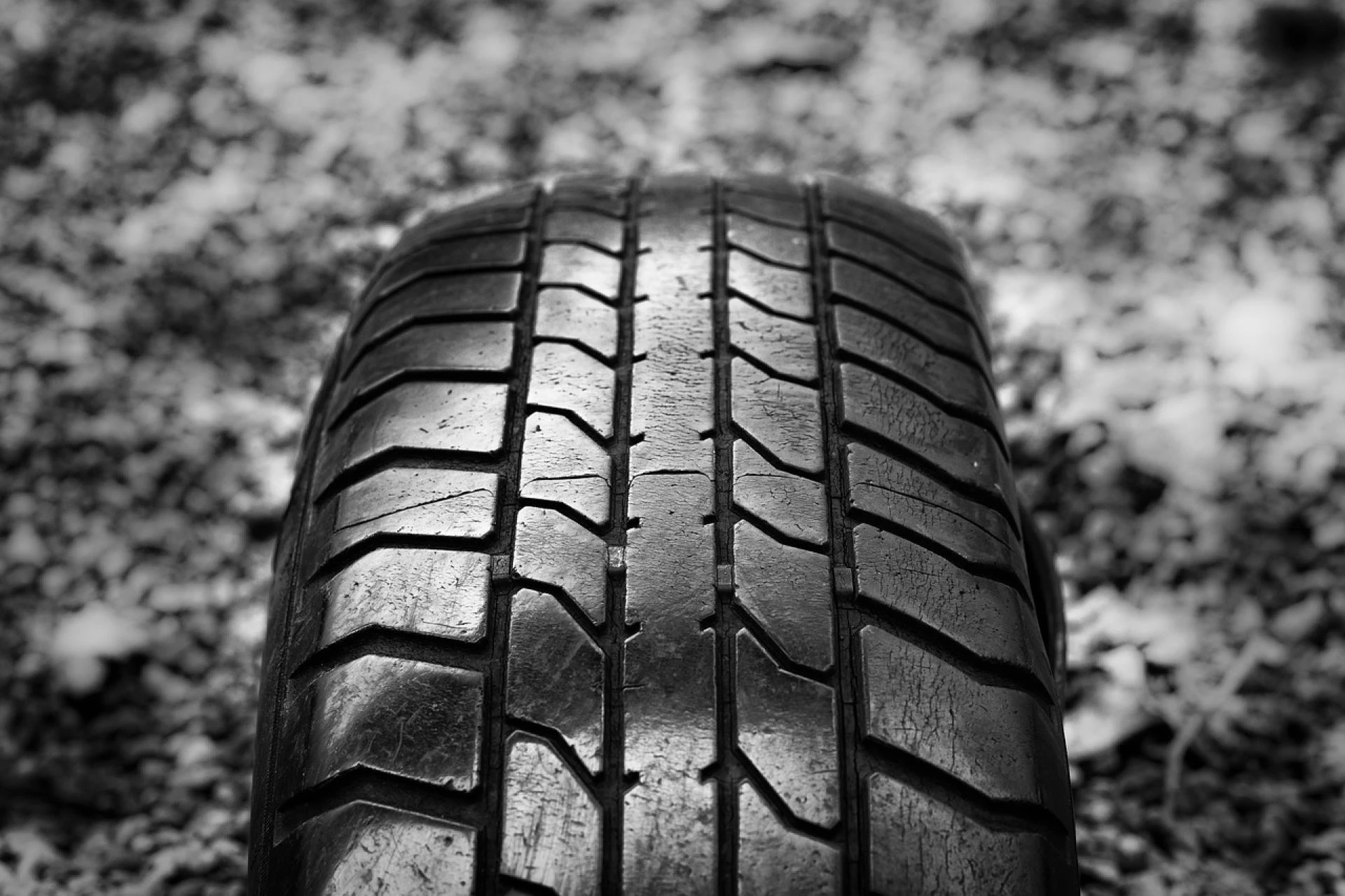 Speed Meets Youth: The Emergence of Saudi Arabia's Youth as the Key Market for Sport Tyres
