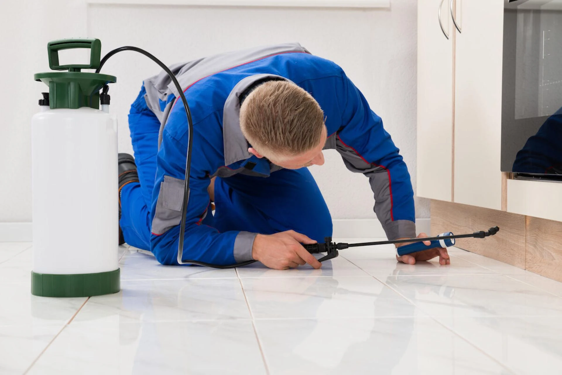 Swift and Reliable Pest Management Services in Charlotte: Safeguarding Your Home and Business: