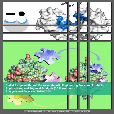 Enzymes Market Growth, Size Outlook, Upcoming Latest Trends and Forecast 2025