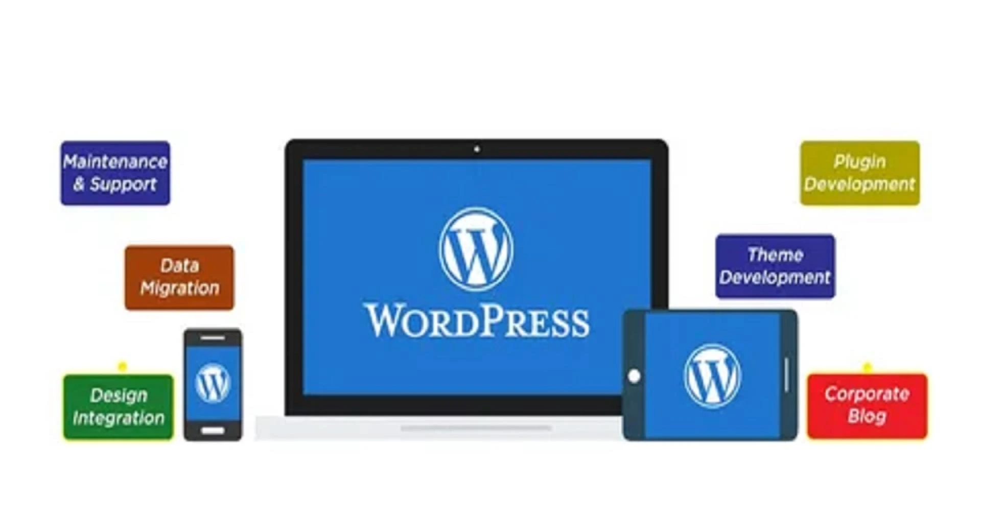 Unveiling the Marvels of PHP Web Development Services in the USA