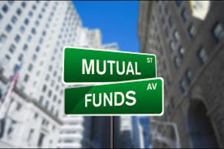 How Does Mutual Fund Software Help MFDs With Brand Image?