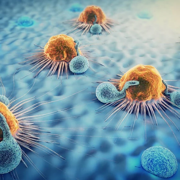 Breaking Ground in Solid Tumor Research: Insights and Discoveries