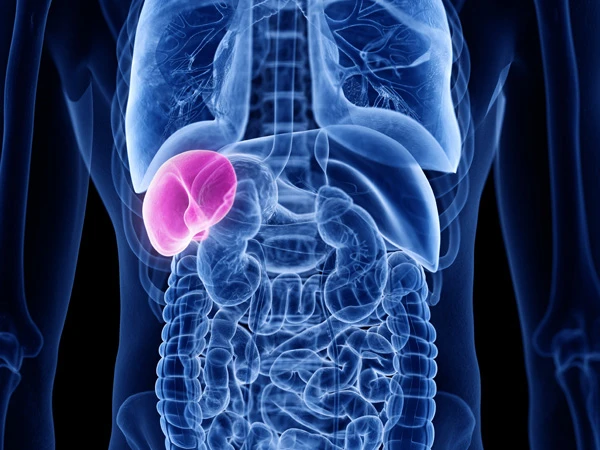 Enzyme Deficiency Chronicles: Navigating the World of Gaucher Disease