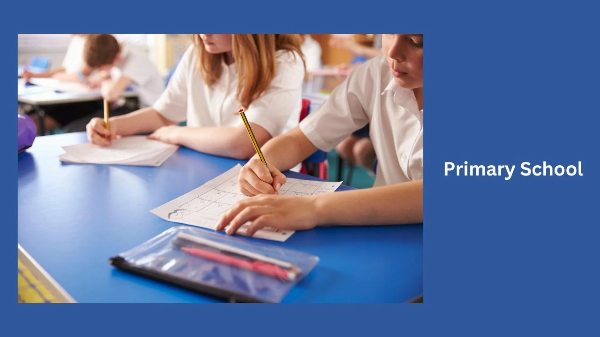 Primary School Essentials: Building the Foundation for Future Success