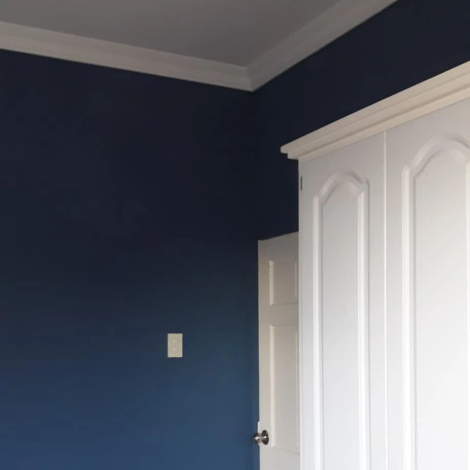 Professional Painting Services In Dubai