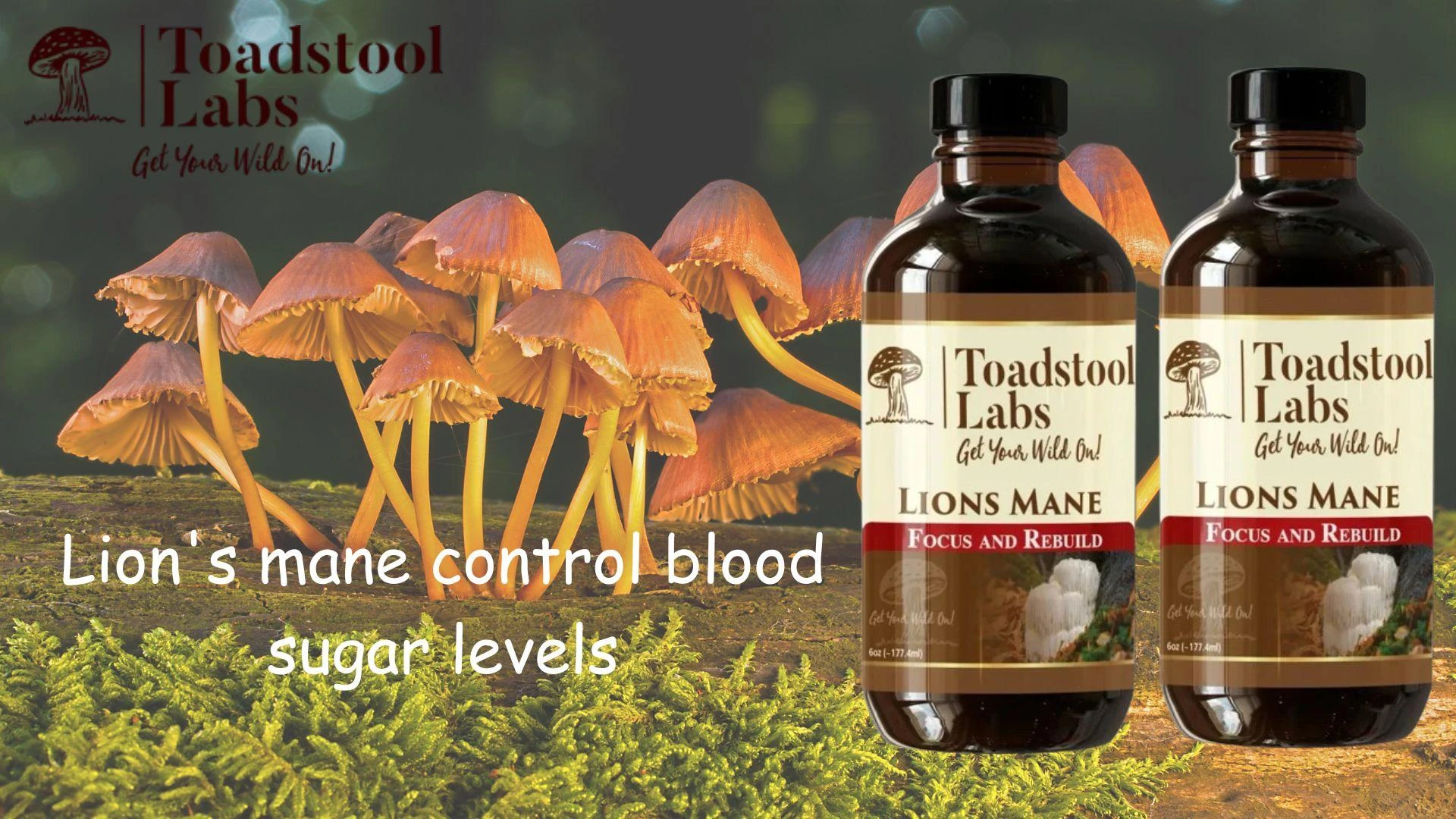Lion's mane blood sugar levels coupled with the germ-free potency of mushroom syrups