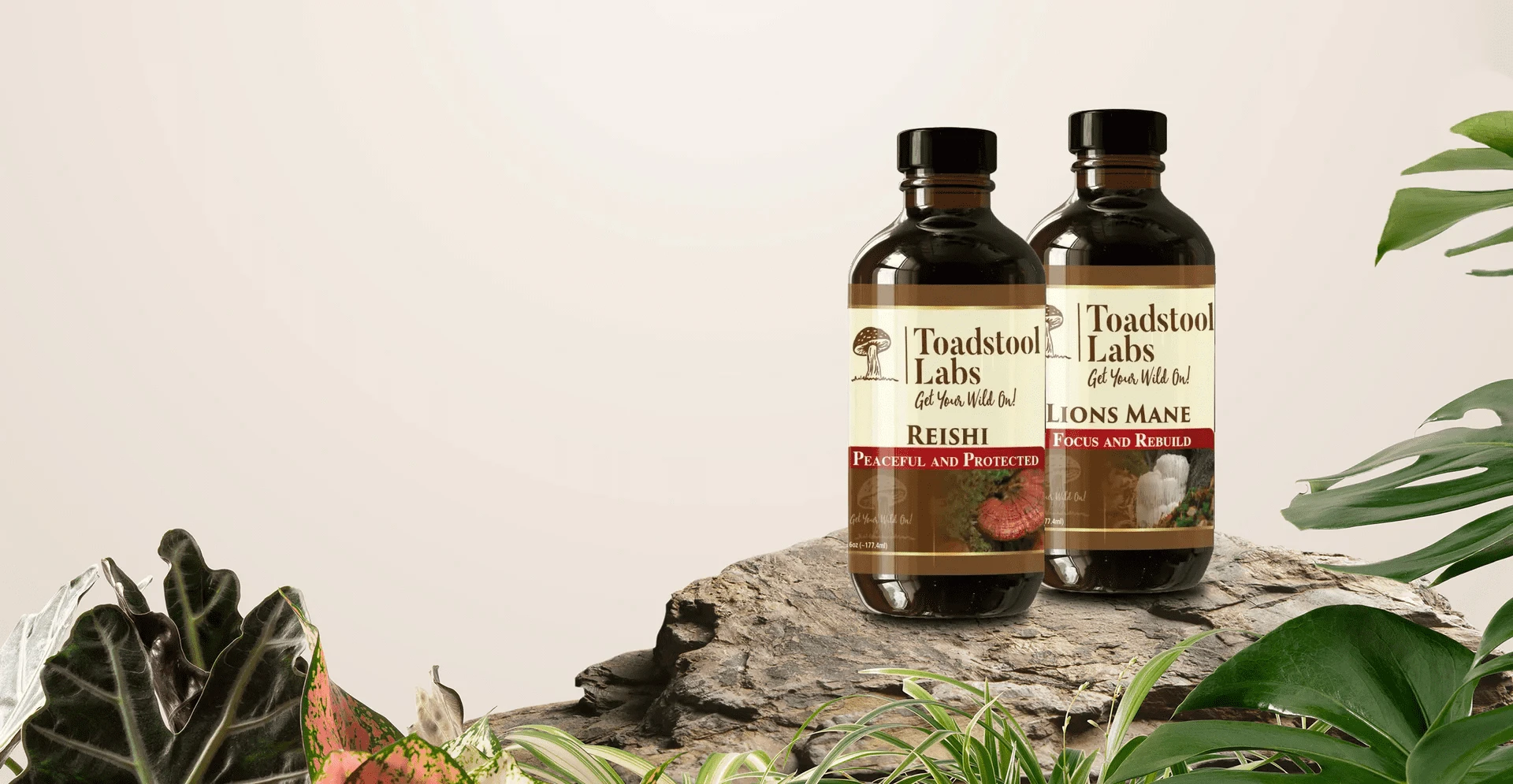 How Mushroom Maple Syrup Transforms Everyday Dishes