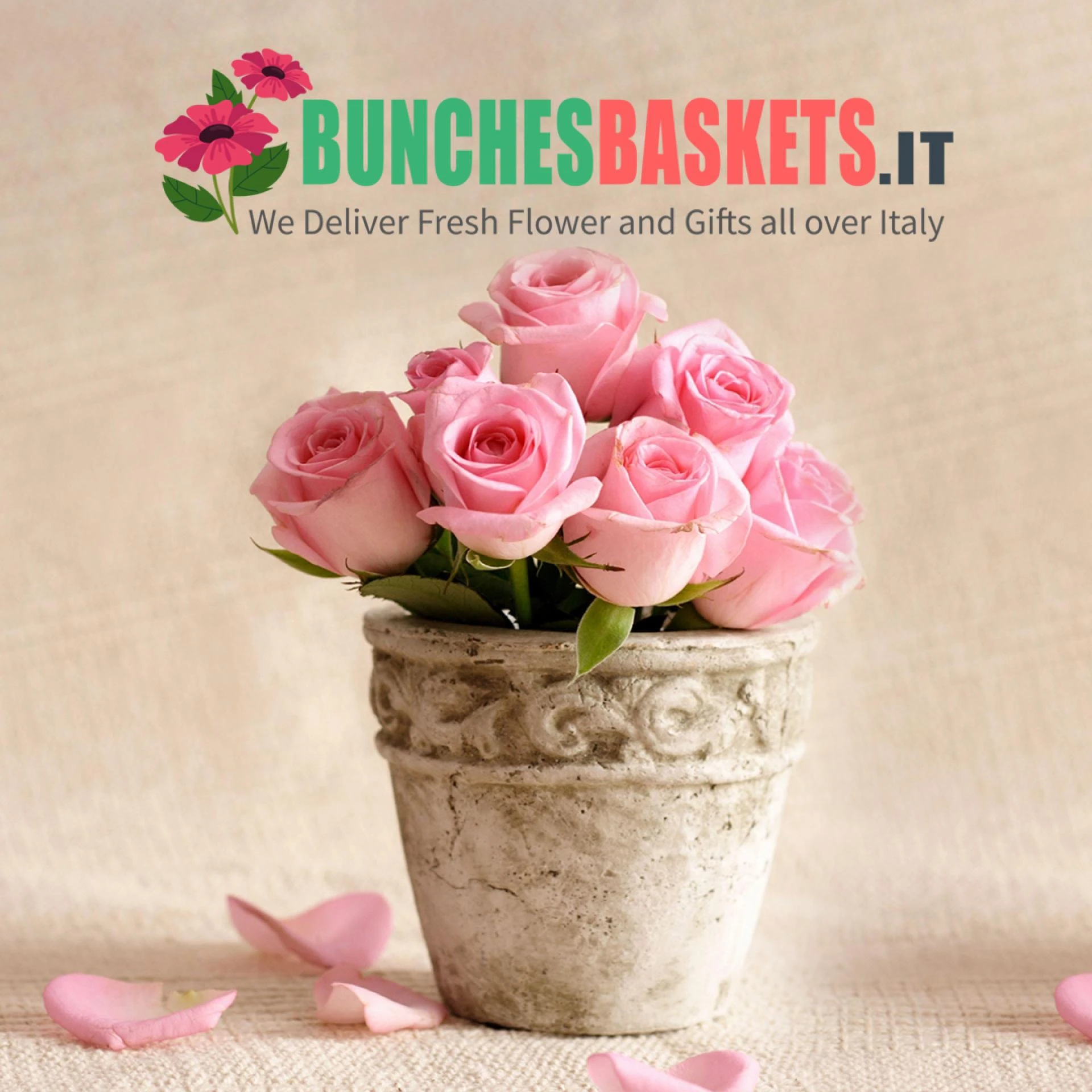 The Saga of Gifting Flowers on Occasions in Italy with Meaning and Significances of Different Flowers